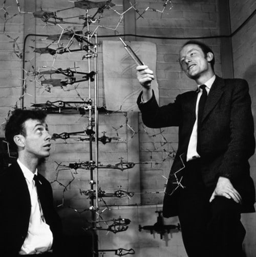 researchers looking at dna double helix model in lab