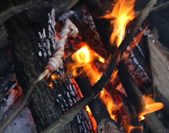 Bacon cooking on stick over fire.