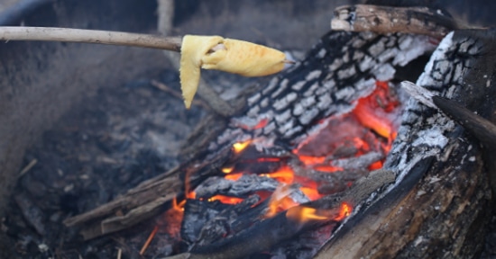 Biscuits bread cooking on stick over fire.