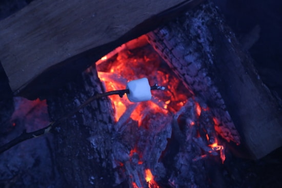 Marshmallow cooking on stick over fire.