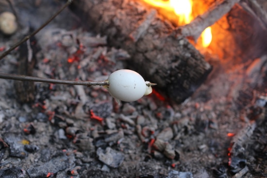 Egg cooking on stick over fire.
