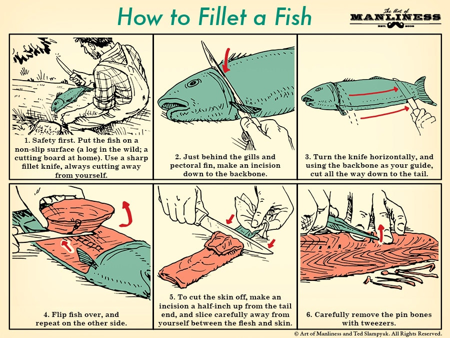 How to fillet a fish illustration.