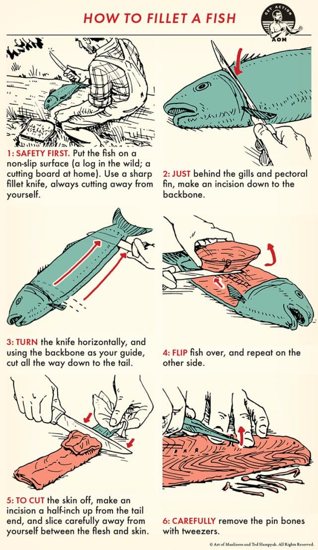 How To Fillet A Fish An Illustrated Guide The Art Of Manliness