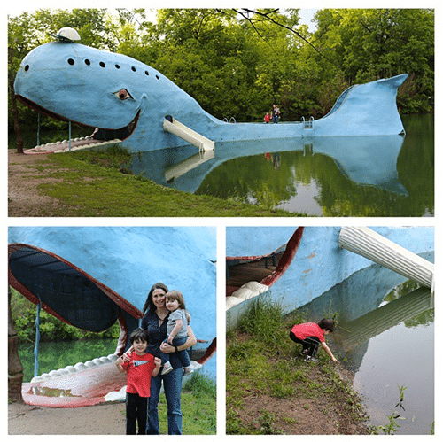 Family enjoying in big whale water park.