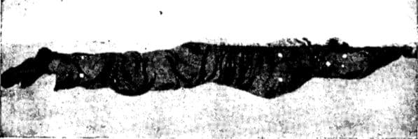 Prone float is basic position for all prone swimming; submerge face and open eyes to see under water or raise head high to observe over it; arms and legs are extended.