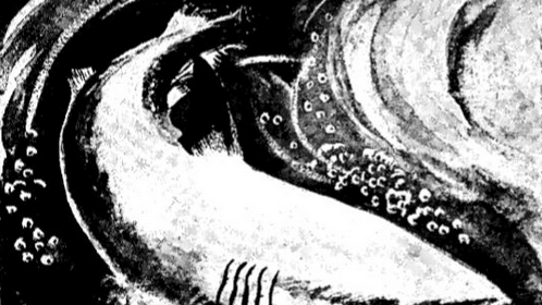 A black and white drawing of a shark, showcasing its powerful presence in the water.