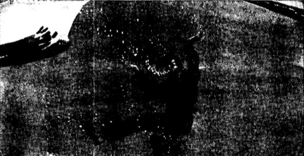 Bob under breaking wave; do not fight undertow-it exists only short distance below surface and wave action will advance swimmer farther than unldertow carries him back.
