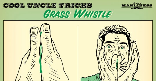 1. Place a nice thick blade of grass between your thumbs. 2. Place back of thumbs against your mouth and blow! You know you're successful by the annoying screeching sound.