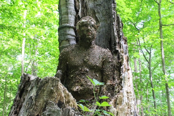 Men camouflaged against tree.