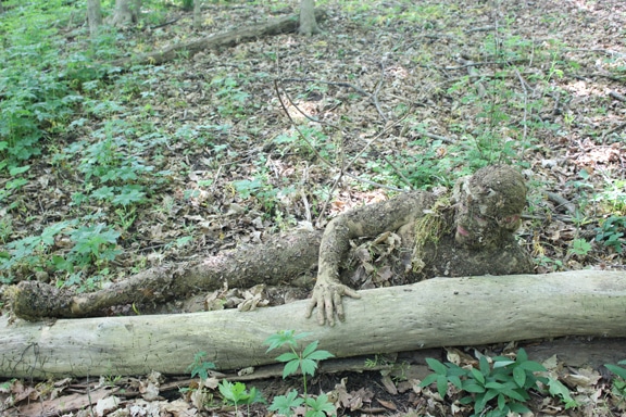 Men camouflaged with log.
