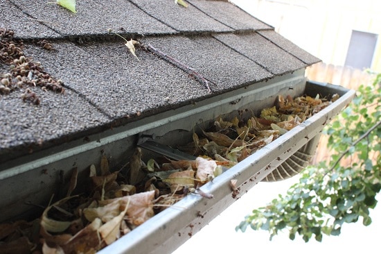 gutter cleaning