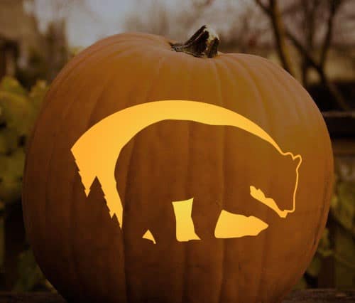 Bear pumpkin stencil manly halloween carving.