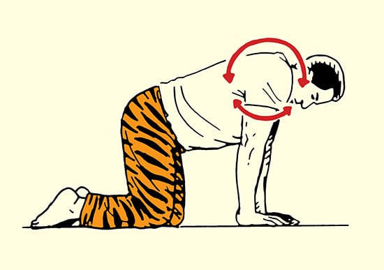 Shoulder rolls stretch morning stretching routine illustration.