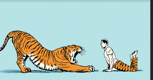 A man is doing morning stretching with a tiger.