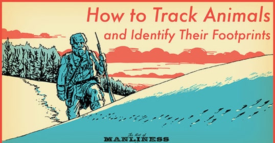 Primer on how to track animals and identify their footprints.