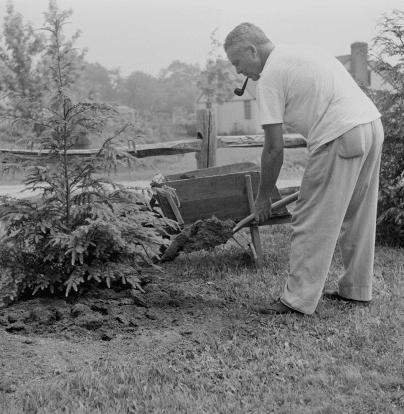 Vintage man gardening shoveling dirt pipe in mouth.