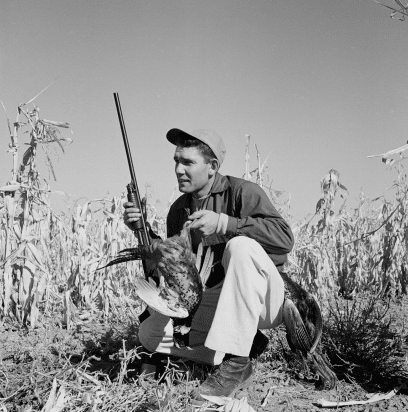 Vintage man hunting in corn field dead pheasant in hand.