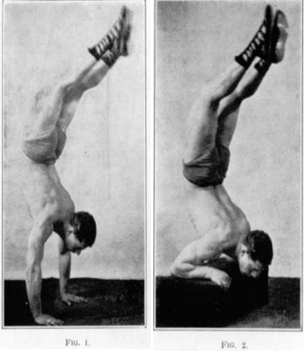Strongman bodybuilder doing exercise for handstand pushup illustration. 
