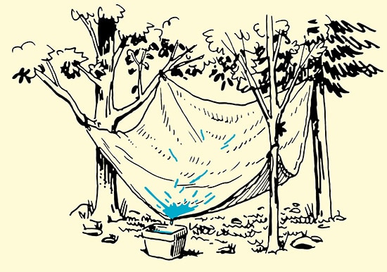 A tarp water is collecting into container in forest illustration.