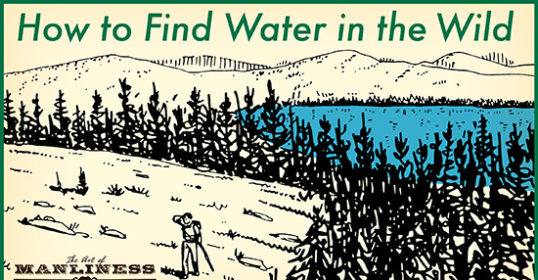 Discovering water in the wild is crucial for survival. This audiobook cover art provides essential tips on finding water sources when navigating through the wilderness.