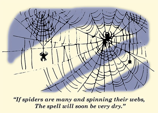 Spiders spinning webs weather proverb spider web illustration.