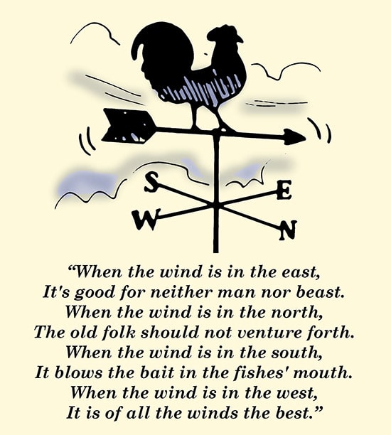 Weather vane wind direction proverb illustration.