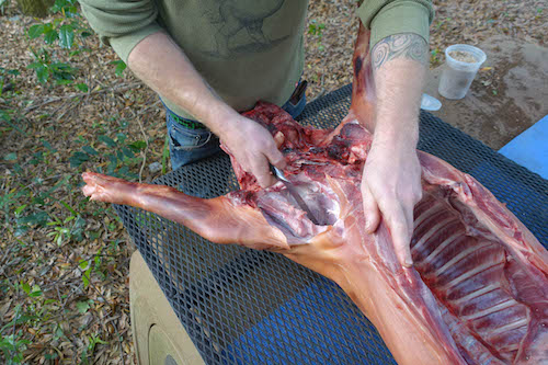 Man cutting a pig meat with knife.