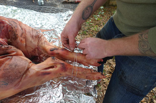 Ein Mann wickelt die Schweinebeine mit Metalldraht ein und bindet sie.