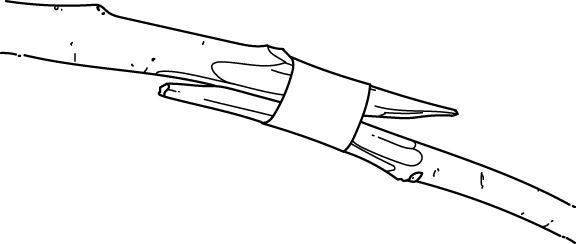 Tree branch collar connector survival hack illustration.