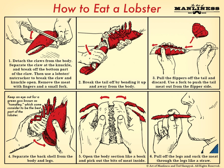 How to Eat a Lobster illustration diagram.