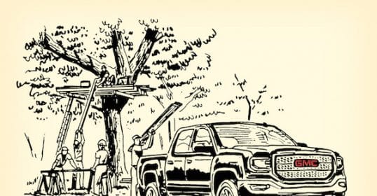 A black and white drawing of a truck and a tree.