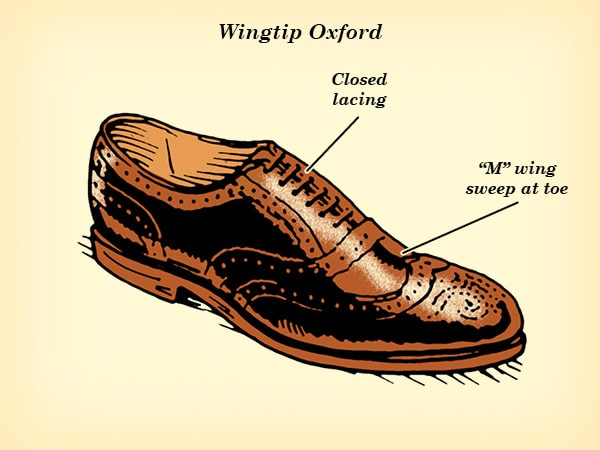Wingtip oxford dress shoe illustration.
