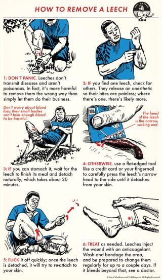 How to Remove a Leech | The Art of Manliness