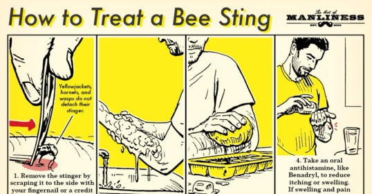 Learn the best way to treat a bee sting.