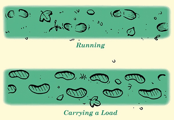 Determining meaning in footprints when tracking humans illustration.