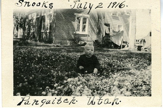 wmdhurst1916-2