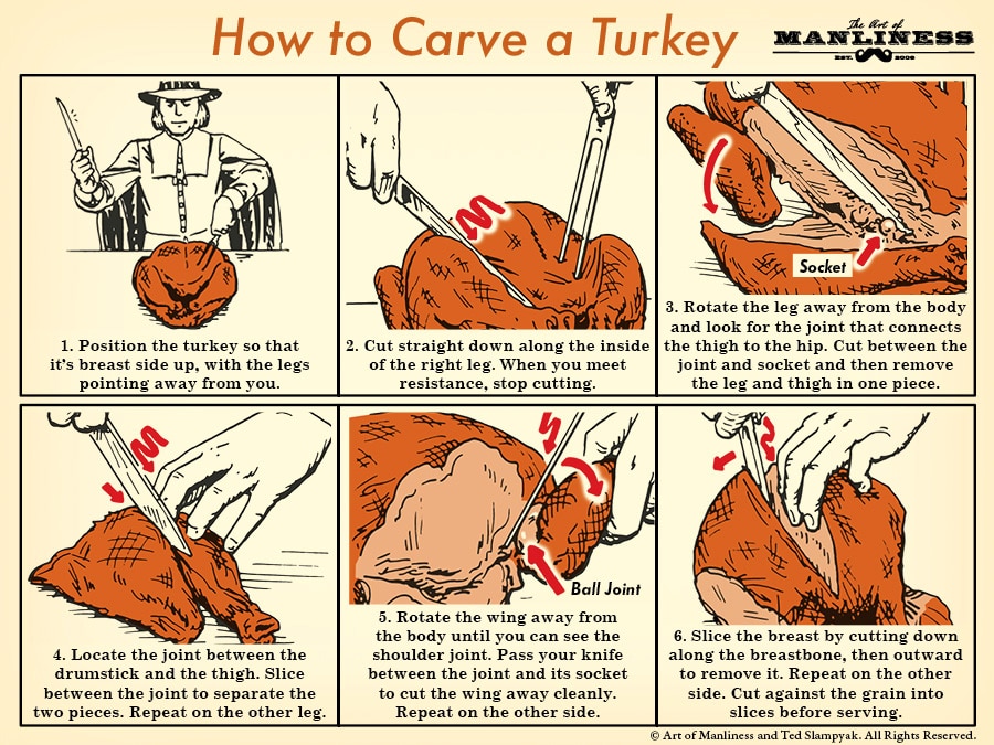 how to carve a turkey diagram how-to illustration