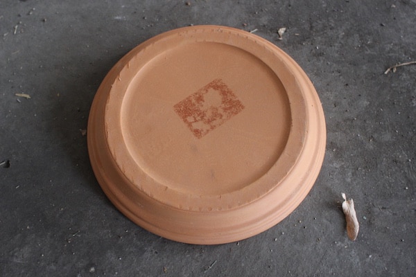 clay pot drip tray 7"