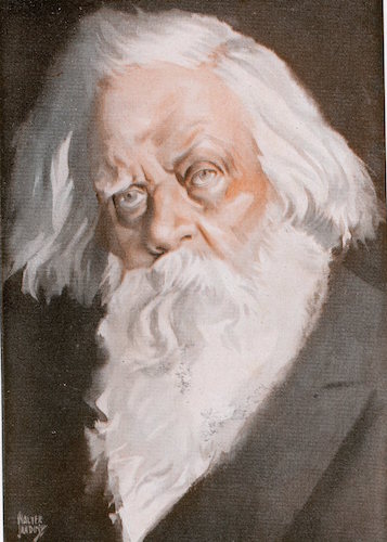 Sir Henry parkes illustration.