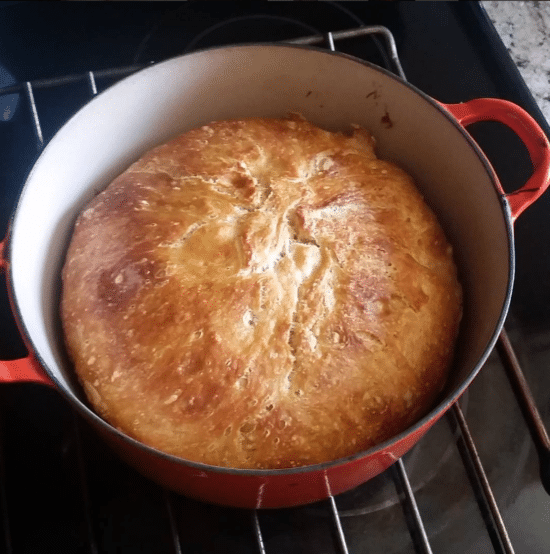Bread baking in a dutch oven boule.