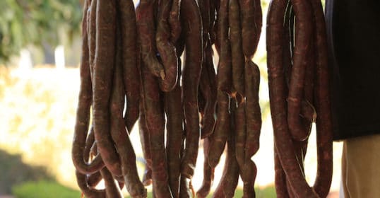 A man is holding his own dried beans.