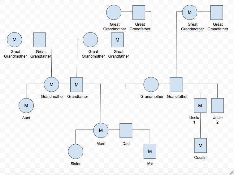 genogram legend identifying self