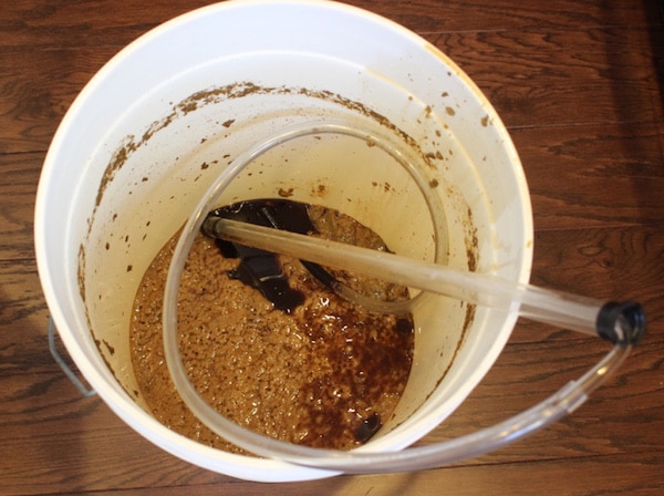 Homebrew fermentor bucket dead yeast at bottom.