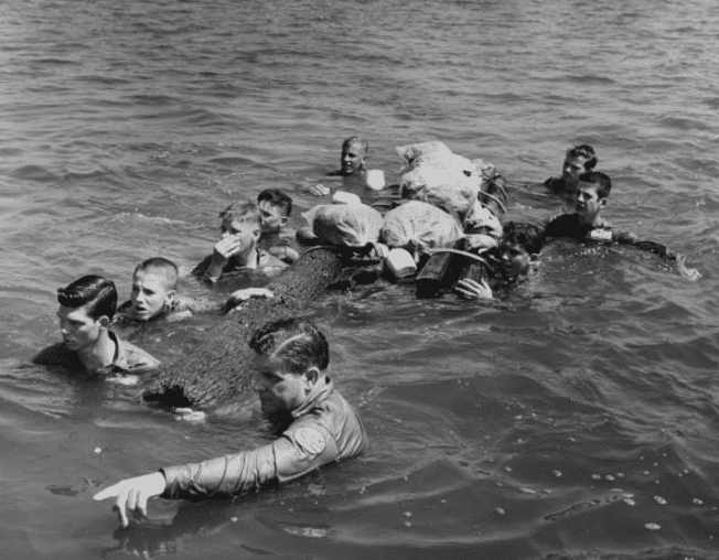 A group of people swimming in the river with a crocodile.