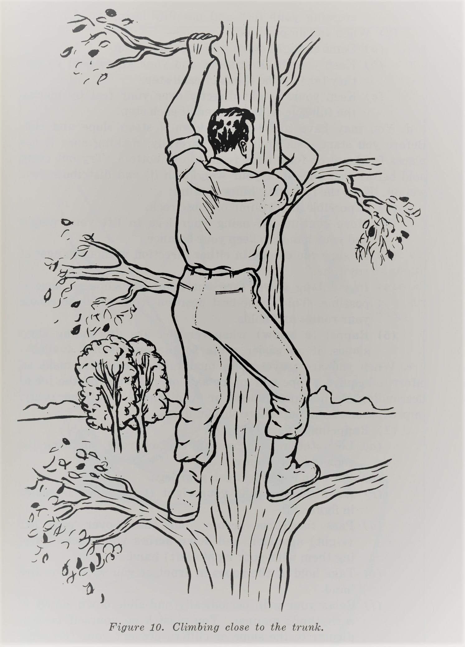 A man climb on a tree illustration.