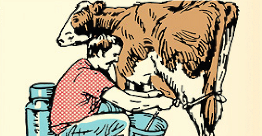 An illustration of a man demonstrating his milking skill on a cow.