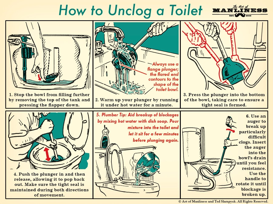 How to unclog a toilet all steps in a diagram illustration. 