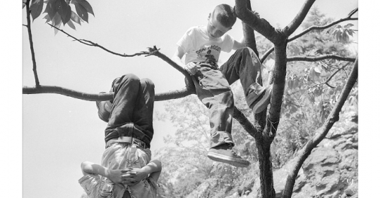 Two kids hanging from a tree, having fun and exploring dangerous things.