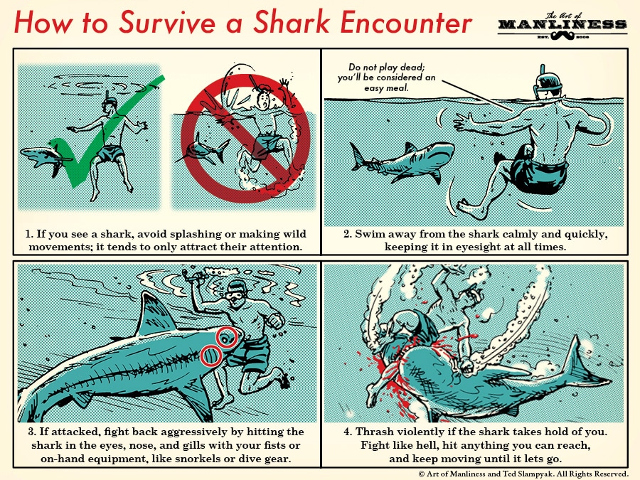 How to Survive a Shark Attack | The Art of Manliness | Bloglovin’