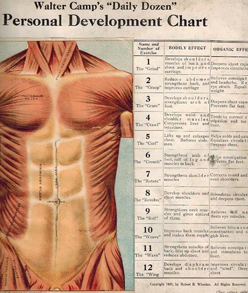 Walter camp daily dozen personal development chart.